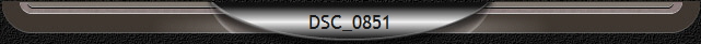 DSC_0851