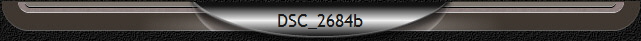 DSC_2684b