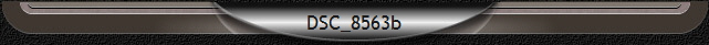 DSC_8563b