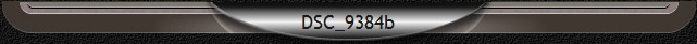 DSC_9384b