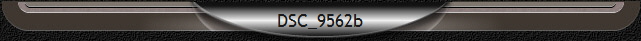 DSC_9562b