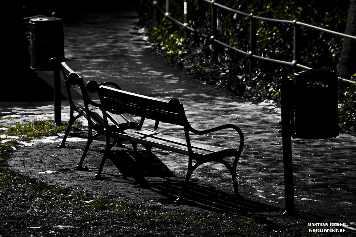 DSC_0851