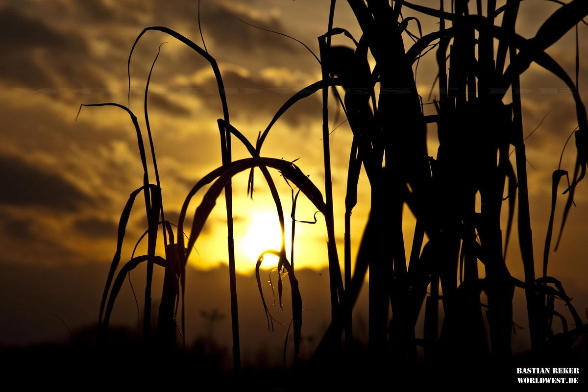 Sonnenuntergang_DSC_3478